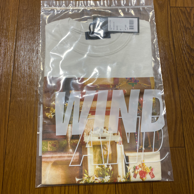 WIND AND SEA (ウィンダンシー)WDS SANTA CRUZ Tee メンズのトップス(Tシャツ/カットソー(半袖/袖なし))の商品写真