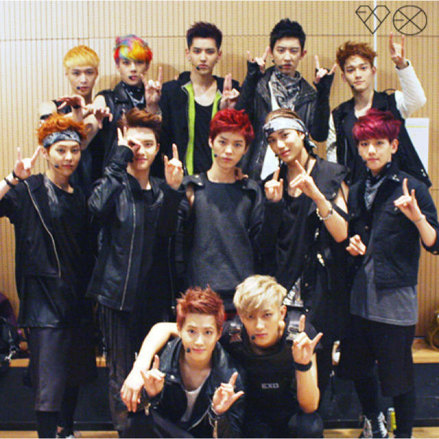 EXO(エクソ)のEXO GREETING PARTY IN JAPAN ”HELLO!” DVD エンタメ/ホビーのDVD/ブルーレイ(アイドル)の商品写真