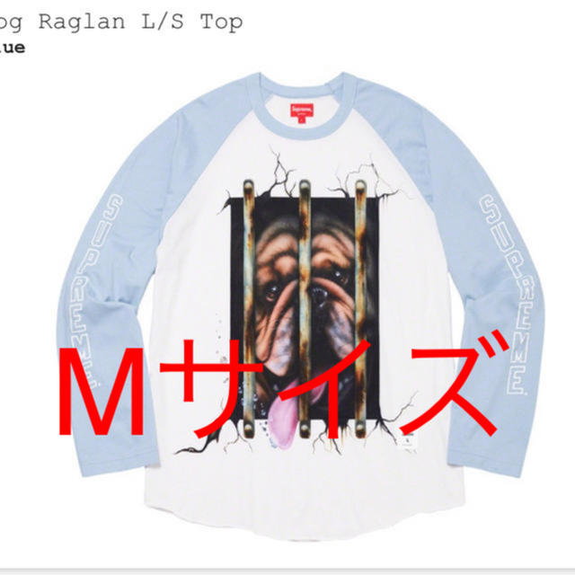 超激安 Dog Supreme - Supreme Raglan サイズM Top L/S Tシャツ+カットソー(七分+長袖)