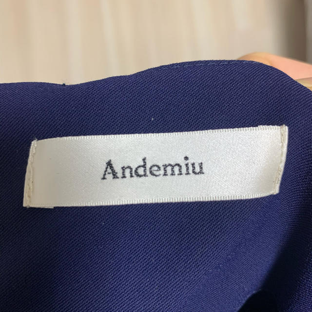 Andemiu(アンデミュウ)のAndemiu オーガンジーレースワンピース レディースのワンピース(ひざ丈ワンピース)の商品写真