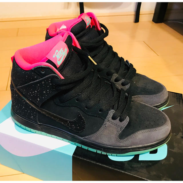 正規品 nike dunk sb yeezy northern ナイキ ダンク