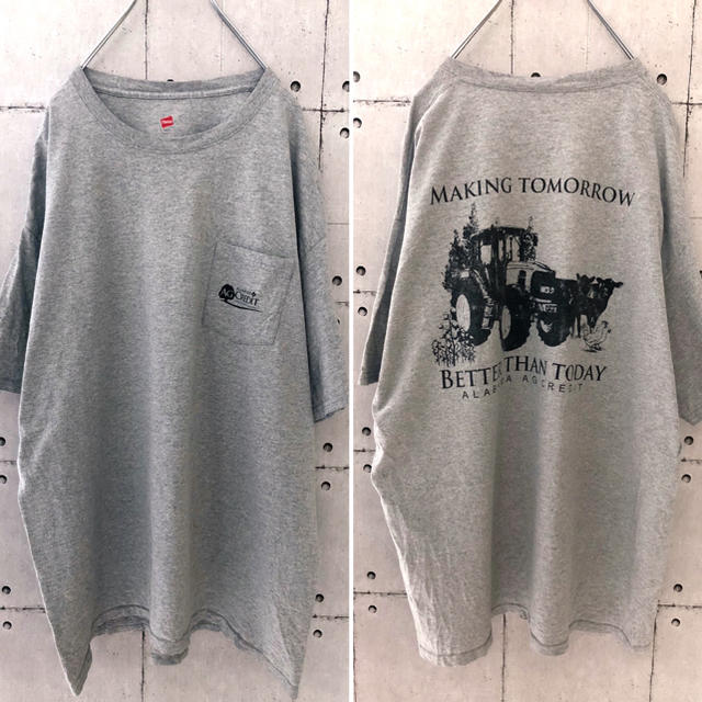 Hanes(ヘインズ)の【USA輸入】特価！Hanes tシャツ ポケット メンズのトップス(Tシャツ/カットソー(半袖/袖なし))の商品写真