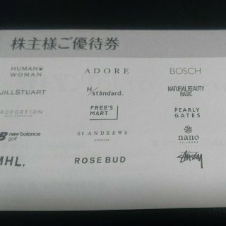 ステューシー(STUSSY)の★ TSI 株主優待券  1冊(ショッピング)