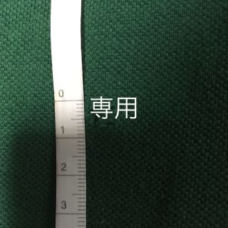 ラコステ(LACOSTE)のtraditionalwaer様 専用　確認用(ポロシャツ)