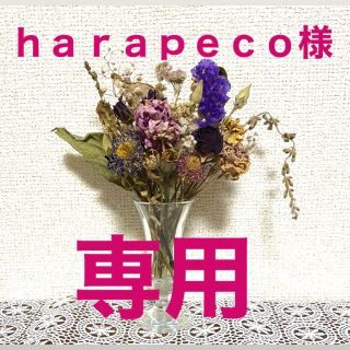 harapeco様専用　ドライフラワー① ⑤(ドライフラワー)