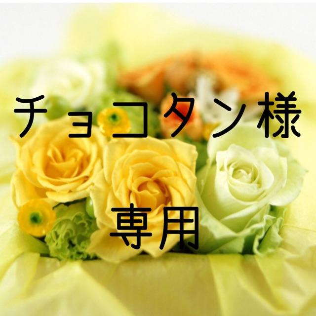 チョコタン  お米 令和元年 愛媛県産ヒノヒカリ 白米 15 kg