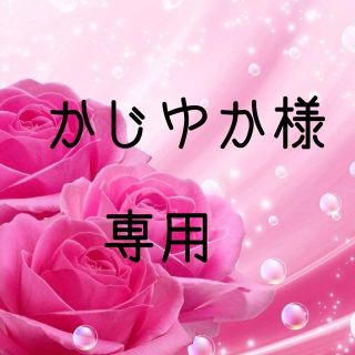 かじゆか様専用　お米 令和元年 愛媛県産あきたこまち 白米 5 kg(米/穀物)