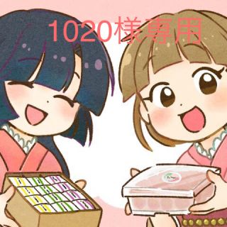 1020様専用【訳あり】はちみつ梅干し400g  (その他)