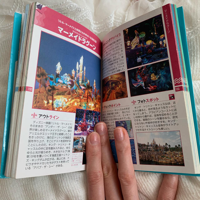 Disney(ディズニー)の（ Disney ）ランド・シー ベストガイドset エンタメ/ホビーの本(地図/旅行ガイド)の商品写真