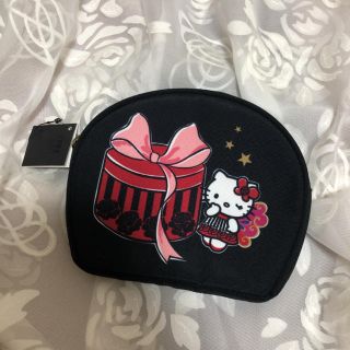 未使用品　キティーちゃん　ANNA SUI　コラボケース