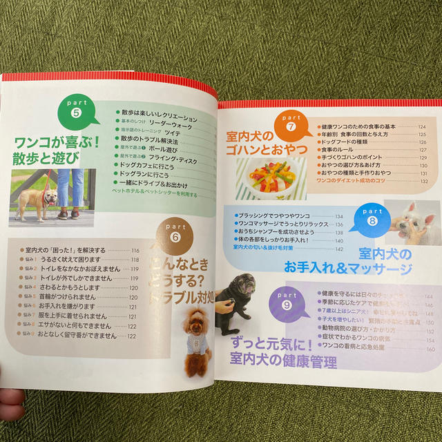 室内犬の飼い方・しつけ方ＢＯＯＫ エンタメ/ホビーの本(住まい/暮らし/子育て)の商品写真