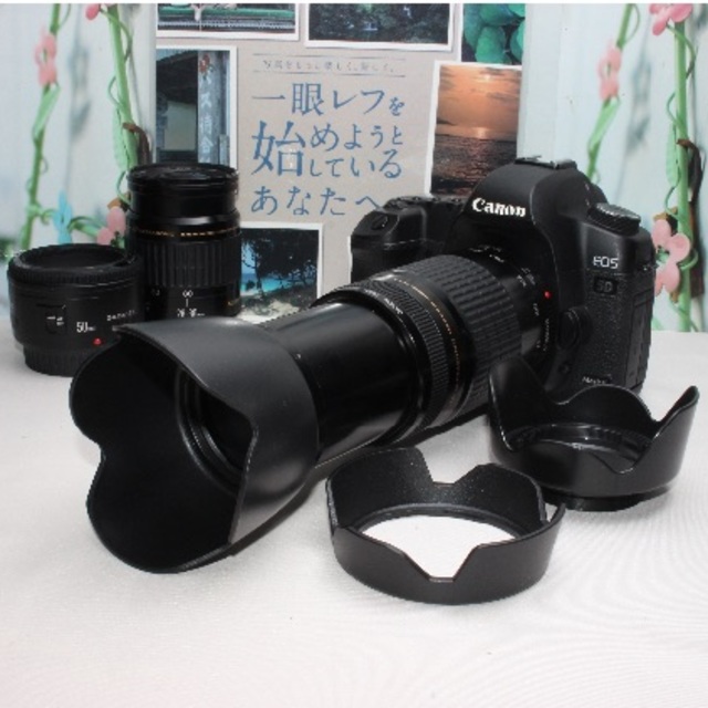 Canon - ❤️超高速連写&予備バッテリー付き❤️キャノン 5DマークIIトリプルレンズ❤️