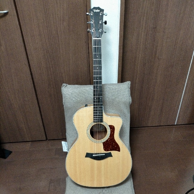 アコースティックギター Taylor317e セット www.krzysztofbialy.com