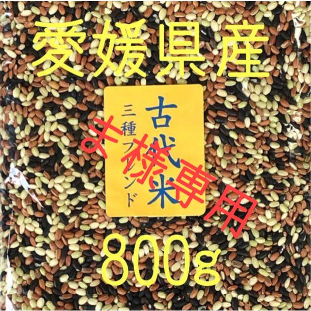 ま様専用　古代米3種ブレンド愛媛県産　800ｇ 食品/飲料/酒の食品(米/穀物)の商品写真