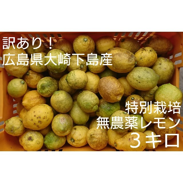 訳あり！広島県大崎下島産 特別栽培 無農薬レモン３キロ 食品/飲料/酒の食品(フルーツ)の商品写真
