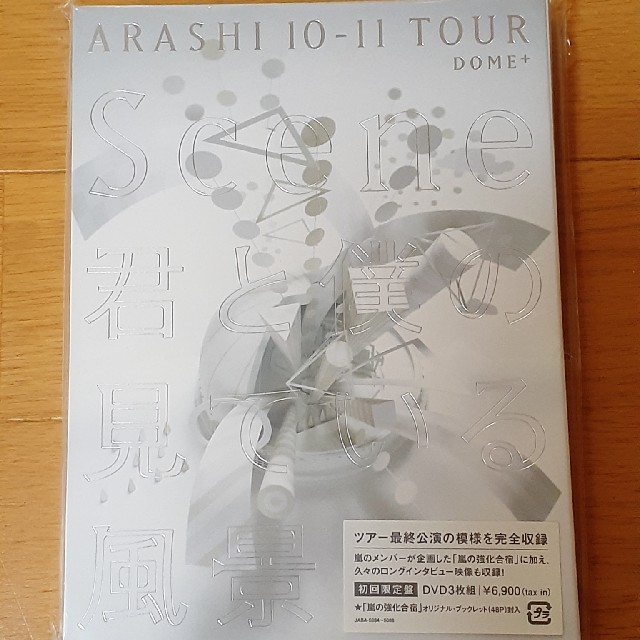 ARASHI　10-11TOUR　“Scene”～君と僕の見ている風景～　DOM