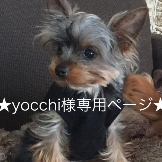 yocchi様専用ページです。 その他のペット用品(犬)の商品写真