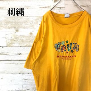 【激レア】USA輸入☆半袖ビッグ刺繍Tシャツクルーネックカットソー(Tシャツ/カットソー(半袖/袖なし))