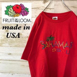 【激レア】USA製フルーツオブザルーム☆半袖刺繍Tシャツクルーネックカットソー(Tシャツ/カットソー(半袖/袖なし))