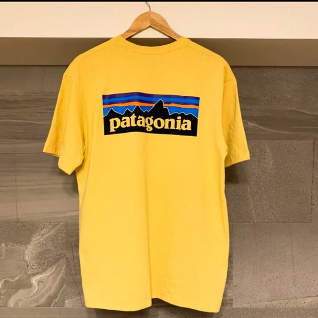 patagonia(パタゴニア)の新品 20/SS patagonia P-6ロゴ レスポンシビリティー M メンズのトップス(Tシャツ/カットソー(半袖/袖なし))の商品写真