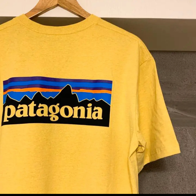 patagonia(パタゴニア)の新品 20/SS patagonia P-6ロゴ レスポンシビリティー M メンズのトップス(Tシャツ/カットソー(半袖/袖なし))の商品写真