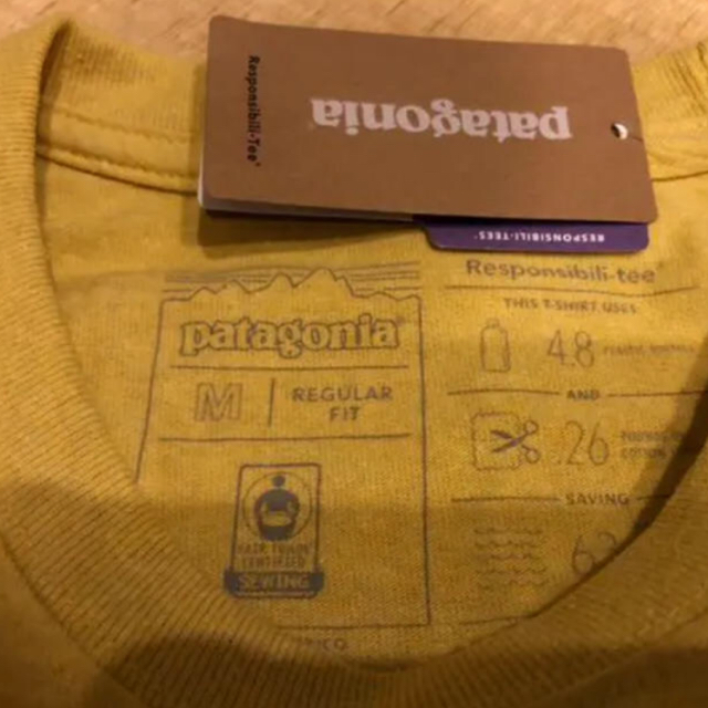 patagonia(パタゴニア)の新品 20/SS patagonia P-6ロゴ レスポンシビリティー M メンズのトップス(Tシャツ/カットソー(半袖/袖なし))の商品写真