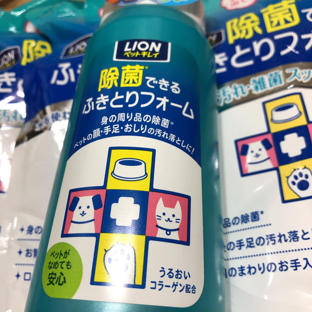 LION(ライオン)の犬用ふきとりフォーム その他のペット用品(犬)の商品写真