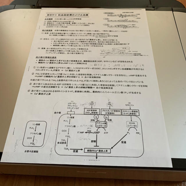 Canon(キヤノン)のインクジェットプリンター スマホ/家電/カメラのPC/タブレット(PC周辺機器)の商品写真