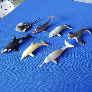 Bandai イルカ シャチ クジラ 一角 エイ フィギュア ミニチュア リアルの通販 By タロ S Shop バンダイならラクマ