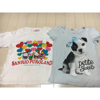 サンリオ(サンリオ)のサンリオピューロランド　犬Tシャツ　110cm (Tシャツ/カットソー)