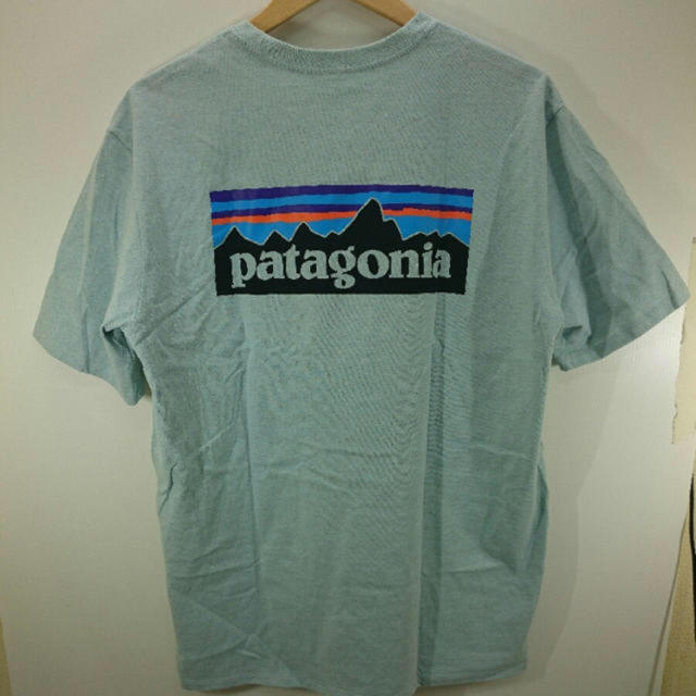 patagonia(パタゴニア)のUG 様　専用　Patagonia Tシャツ keen ユニーク メンズのトップス(Tシャツ/カットソー(半袖/袖なし))の商品写真