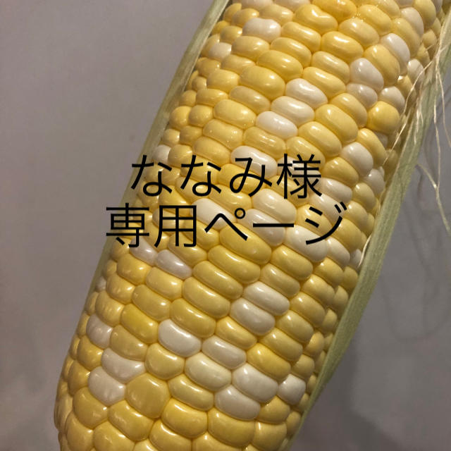 コーン様 専用 - library.iainponorogo.ac.id