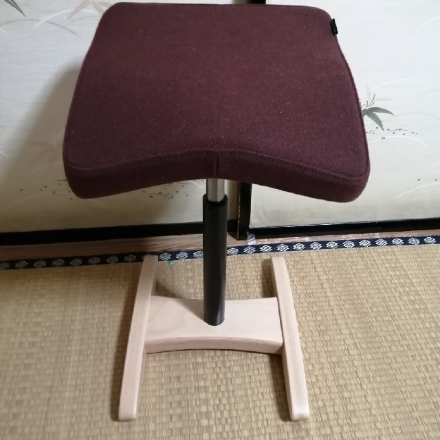 バランスシナジー ほぼ未使用-