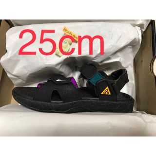 ナイキ(NIKE)の25cm NIKE ACG AIR DESCHUTZ(サンダル)