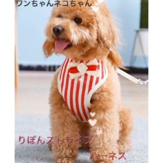 ワンチャンハーネスセット(犬)