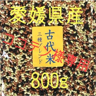 ココテン様専用　古代米3種ブレンド愛媛県産　800ｇ×2(米/穀物)