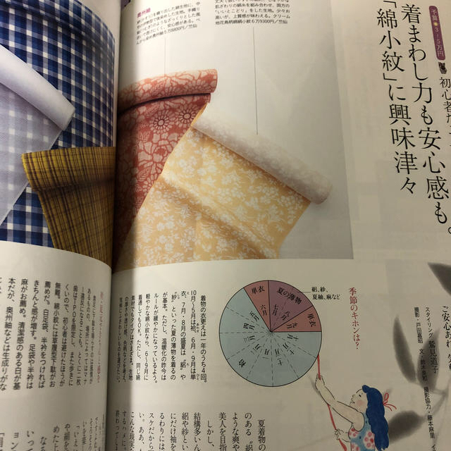 七緒 着物からはじまる暮らし ｖｏｌ．１４ エンタメ/ホビーの本(ファッション/美容)の商品写真