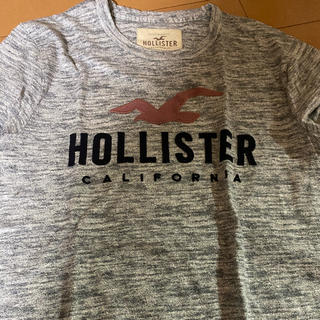 ホリスター(Hollister)のHolister(Tシャツ/カットソー(半袖/袖なし))