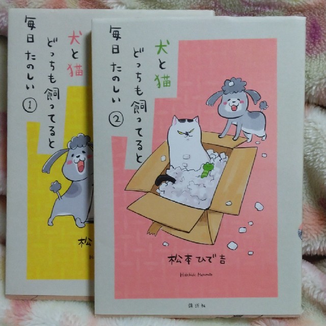 講談社(コウダンシャ)の犬と猫どっちも飼ってると毎日たのしい① エンタメ/ホビーの漫画(女性漫画)の商品写真