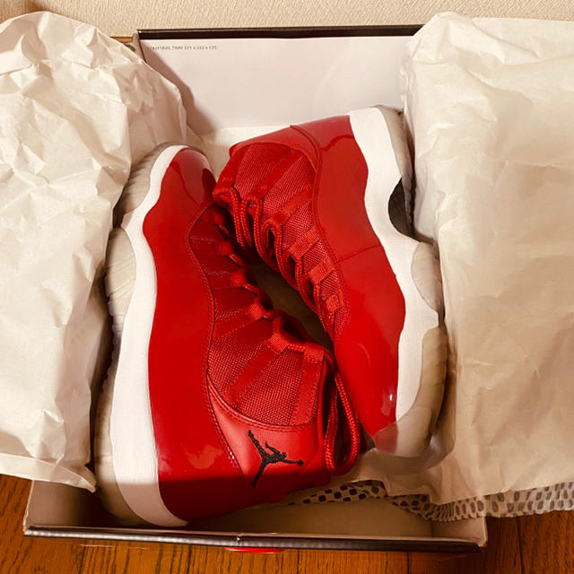 【1度着用】AIR JORDAN 11 レトロ WIN LIKE 96