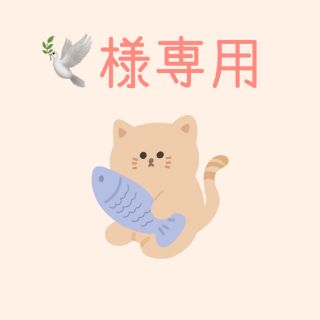 🕊様専用(ダイエット食品)