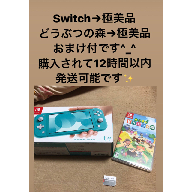 Nintendo Switch Lite 本体 + あつまれどうぶつの森 セット