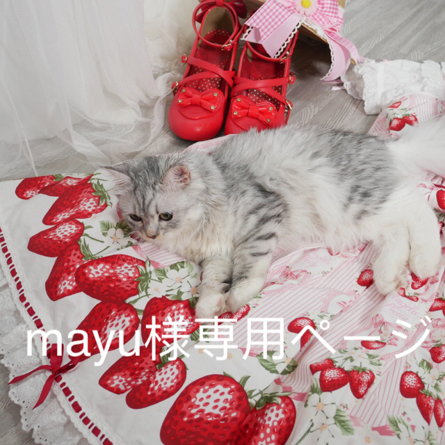 Angelic Pretty(アンジェリックプリティー)のmayu様専用ページ ハンドメイドのアクセサリー(ネックレス)の商品写真