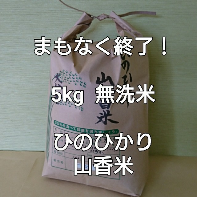 まもなく終了！ 5kg 無洗米 令和元年 大分県産 ひのひかり 山香米 食品/飲料/酒の食品(米/穀物)の商品写真