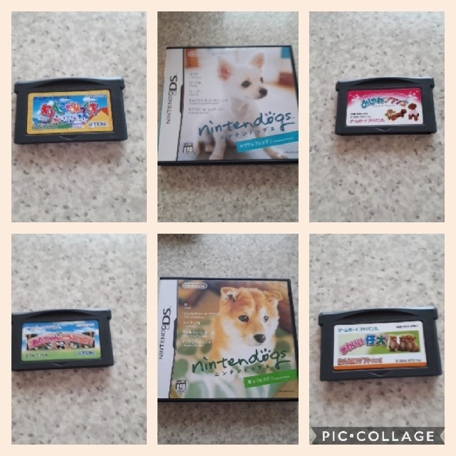 任天堂 ゲームボーイアドバンス Ds 犬 動物 お世話 わんこ ニンテンドックスの通販 By みおりん S Shop ニンテンドウならラクマ