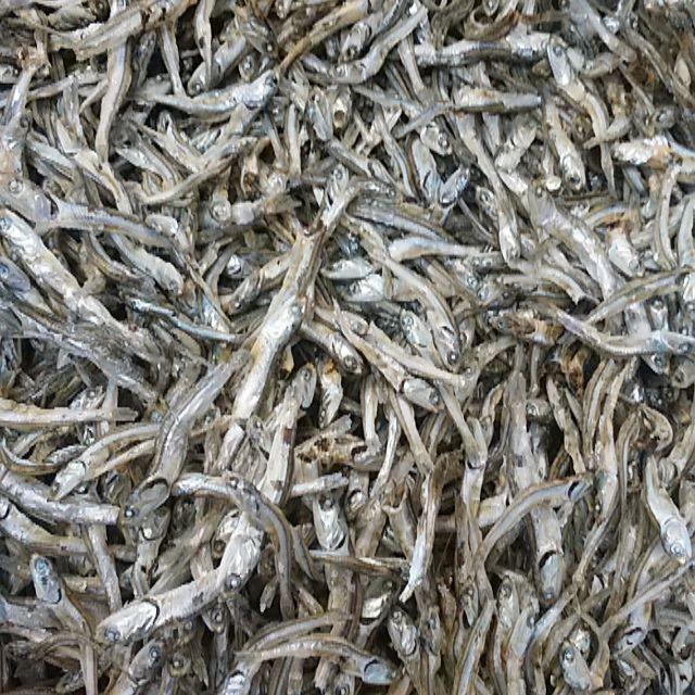 魚介瀬戸内産　カタクチイワシ煮干し　3ｋｇ