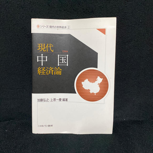 岩波書店(イワナミショテン)の現代中国経済論 エンタメ/ホビーの本(ビジネス/経済)の商品写真