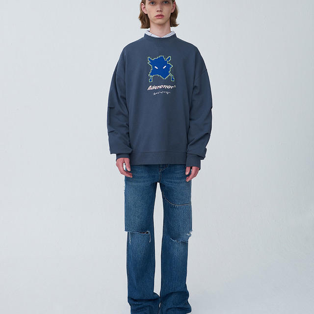 MAISON KITSUNE'(メゾンキツネ)のader error 20ss スウェット メンズのトップス(スウェット)の商品写真