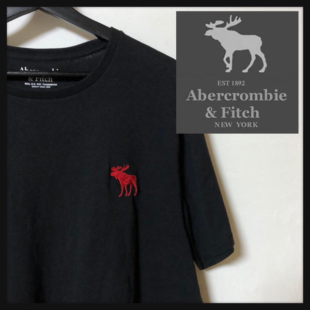 Abercrombie&Fitch(アバクロンビーアンドフィッチ)の【ビッグサイズ】アバクロ ☆ワンポイント刺繍ロゴ入り半袖Tシャツ　人気カラー メンズのトップス(Tシャツ/カットソー(半袖/袖なし))の商品写真