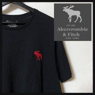 アバクロンビーアンドフィッチ(Abercrombie&Fitch)の【ビッグサイズ】アバクロ ☆ワンポイント刺繍ロゴ入り半袖Tシャツ　人気カラー(Tシャツ/カットソー(半袖/袖なし))